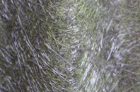 Waterheath fibreglass roof work